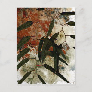 EUCALYPTUS POSTCARD