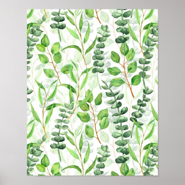 Eucalyptus Poster (Front)