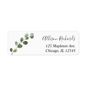 Eucalyptus simple et moderne verdure