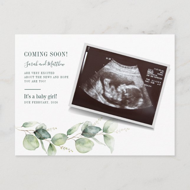 Eucalyptus Sonogram Baby Scan Reveal Pregnancy Announcement Postcard (Front)