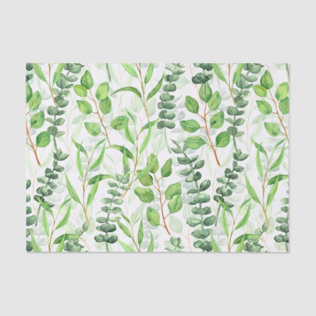 Eucalyptus Tissue Paper (Front)