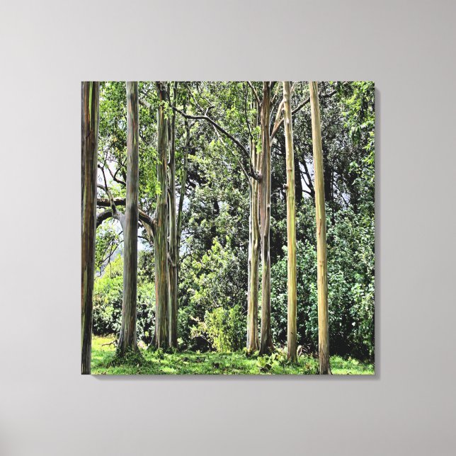 Eucalyptus Triple Canvas Print (Front)