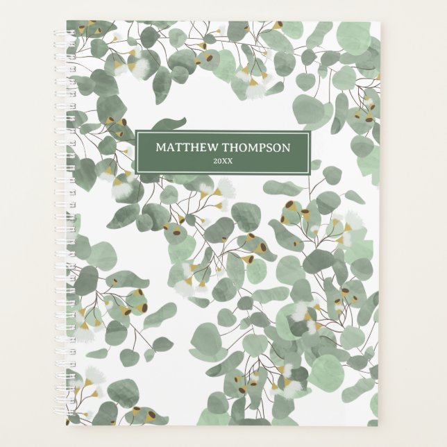 Eucalyptus Vert Argent Dollar Gum Blossoms (Devant)