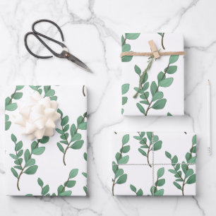 Eucalyptus Wrapping Paper Set
