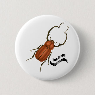 Euchirus longimanis 2 inch round button
