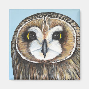 Eugene, a Short-Eared Owl Magnet