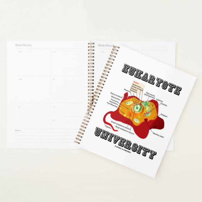 Eukaryote University Animal Cell Anatomy Planner (Display)