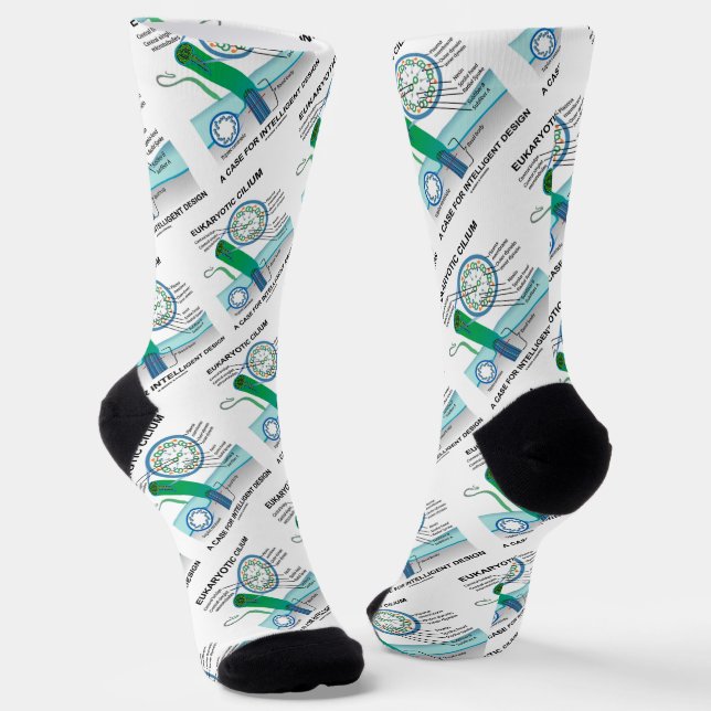Eukaryotic Cilium A Case For Intelligent Design Socks (Angled)