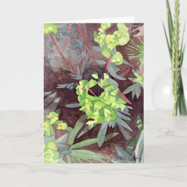 Euphorbia, carte de voeux (Devant)