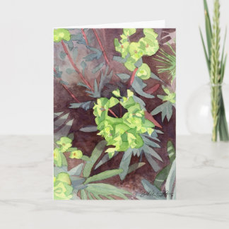 Euphorbia, carte de voeux