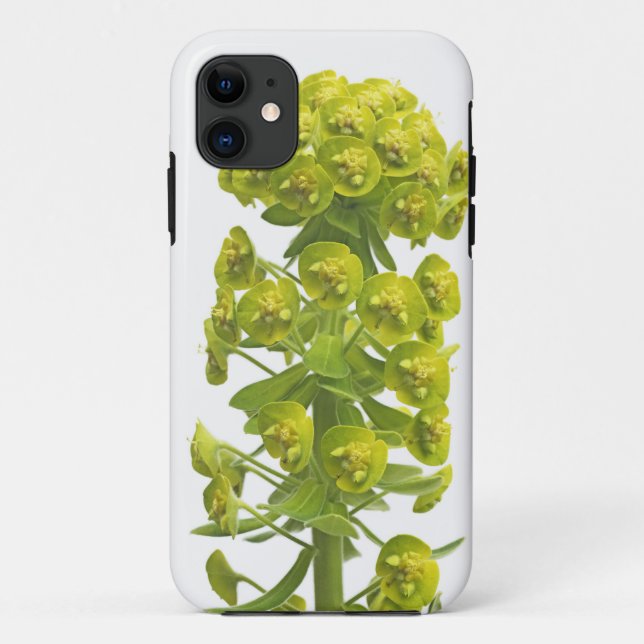 Euphorbia Case-Mate iPhone Case (Back)