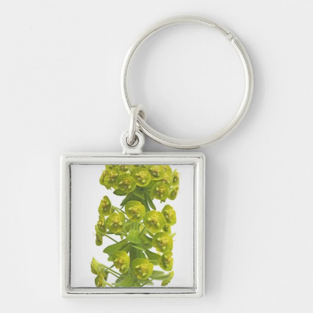 Euphorbia Keychain (Front)
