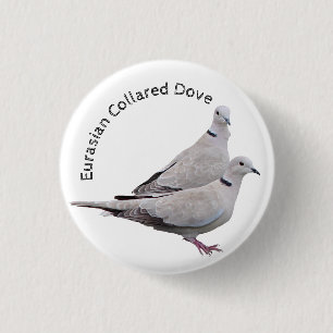 Eurasian Collared Dove 1 Inch Round Button