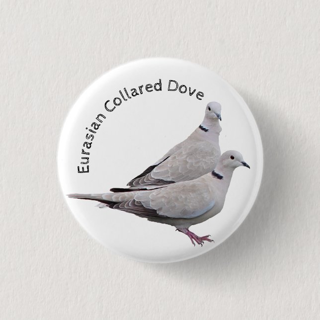 Eurasian Collared Dove 1 Inch Round Button (Front)