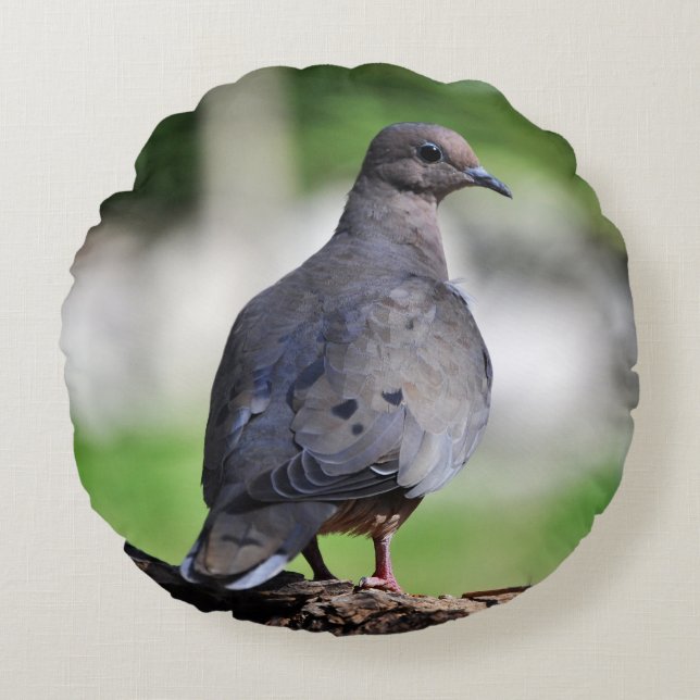 Eurasian collared dove or turtle dove round pillow (Front)