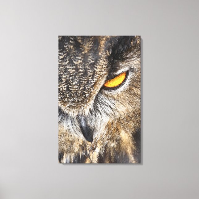 Eurasian Eagle Owl (Bubo bubo) Canvas Print (Front)