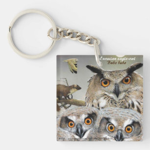 "Eurasian eagle-owl (Bubo bubo)" Keychain