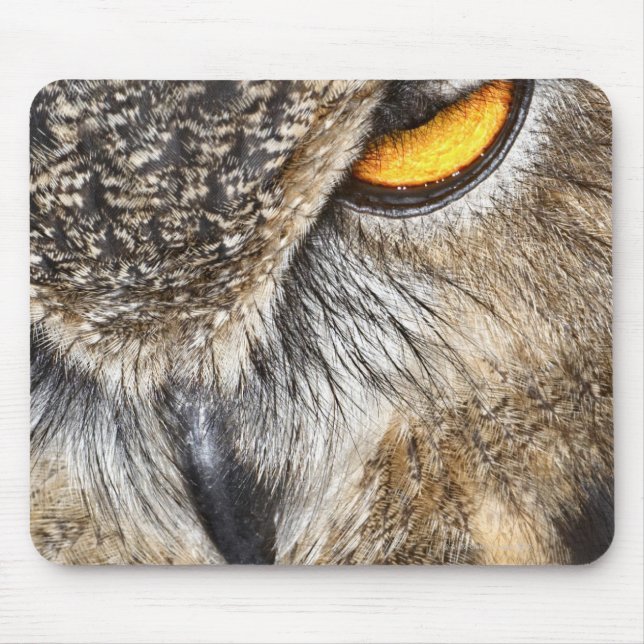 Eurasian Eagle Owl (Bubo bubo) Mouse Pad (Front)