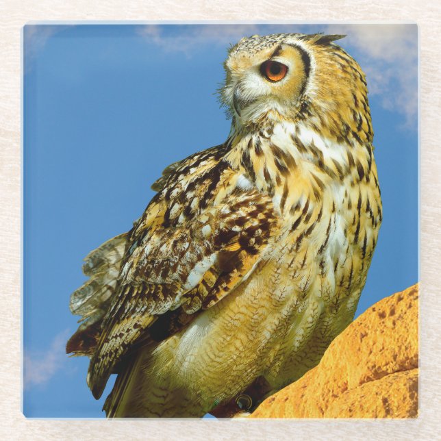 Eurasian eagle owl glass coaster (Front)