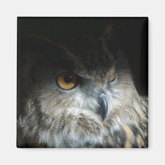 Eurasian Eagle Owl Magnet