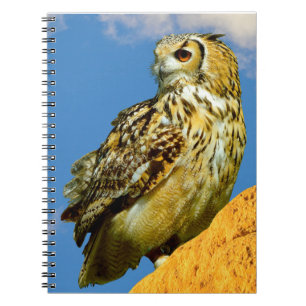 Eurasian eagle owl notebook