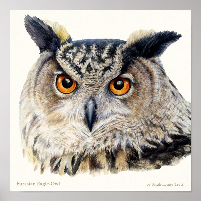 Eurasian Eagle Owl Ornithological fine art poster (Front)