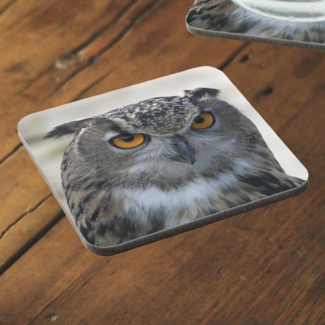Eurasian Eagle Owl Photo Coaster (In Situ Angled)