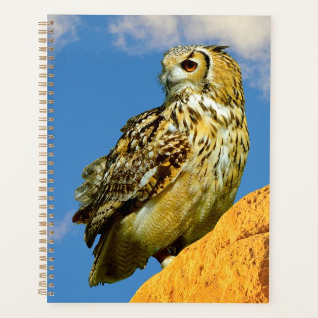 Eurasian eagle owl planner (Front)