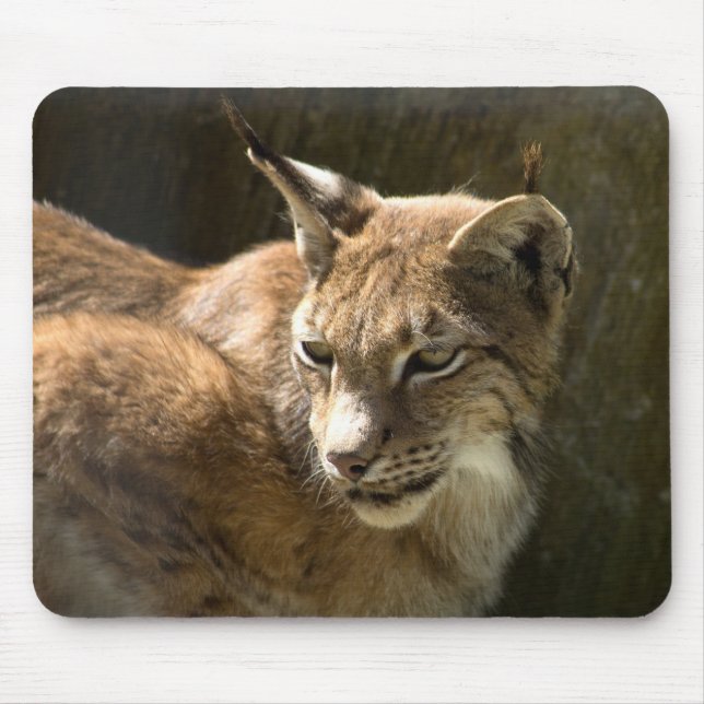 Eurasian Lynx Mouse Pad (Front)
