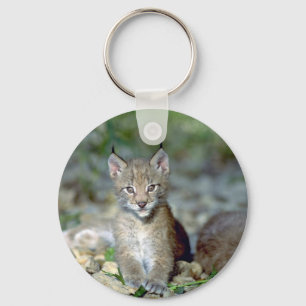Eurasian lynx, young kitten keychain
