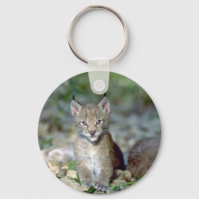 Eurasian lynx, young kitten keychain (Front)