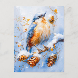 Eurasian Nuthatch in Impressionist Style Painting Postcard