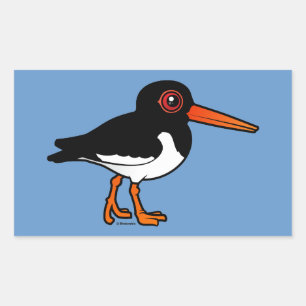 Eurasian Oystercatcher Sticker