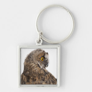 Eurasian Scops-owl - Otus scops (2 months old) Keychain