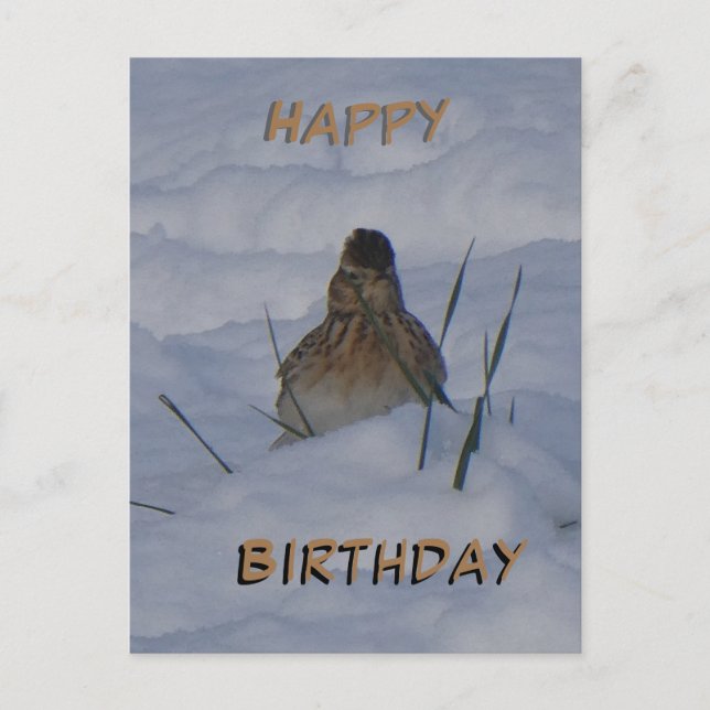 Eurasian Skylark Bird Cust. Text Birthday Postcard (Front)