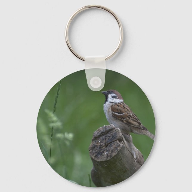 Eurasian Tree Sparrow Keychain (Front)