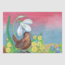 Eurasian wren & Snowdrop & Primroses 