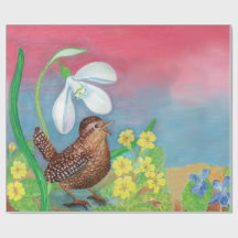 Eurasian wren & Snowdrop & Primroses