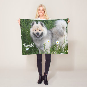  Eurasier Adorable Pet Dog Photo Stallion Sherpa  Fleece Blanket