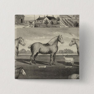 Eureka Stock Farm, Scottsville, Kansas 2 Inch Square Button