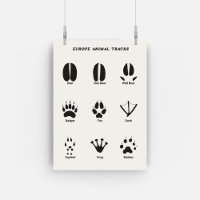 Europe Animal Trails Set Poster