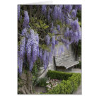 Europe, Austria, Salzbourg, Salzbourg,