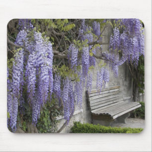 Europe, Austria, Salzburg Stadt, Salzburg, Mouse Pad