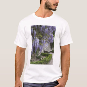 Europe, Austria, Salzburg Stadt, Salzburg, T-Shirt