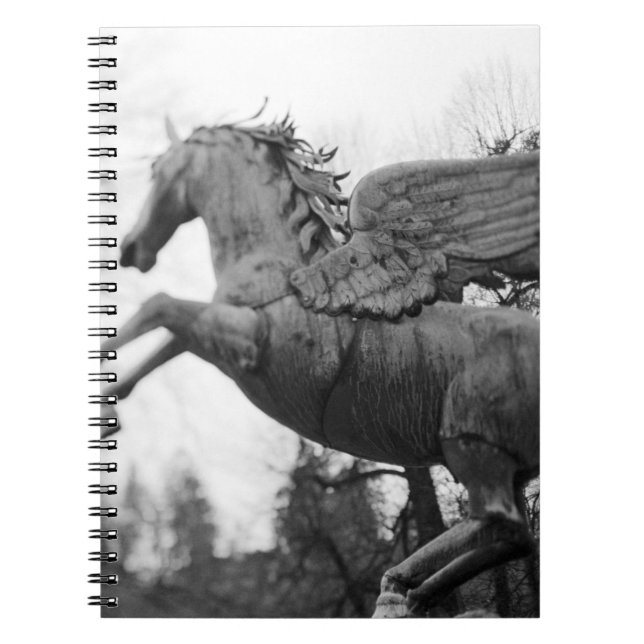 Europe, Austria, Salzburg. Winged horse statue, 2 Notebook (Front)