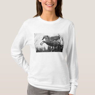 Europe, Austria, Salzburg. Winged horse statue, 2 T-Shirt