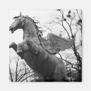 Europe, Austria, Salzburg. Winged horse statue, Magnet