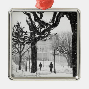 Europe, Austria, Salzburg. Winter, Metal Ornament