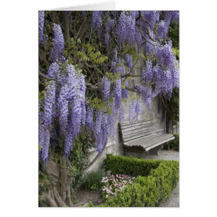 Europe, Autriche, Salzbourg Stadt, Salzbourg,