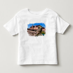 Europe, Denmark, Copenhagen aka Kobenhaven), Toddler T-shirt